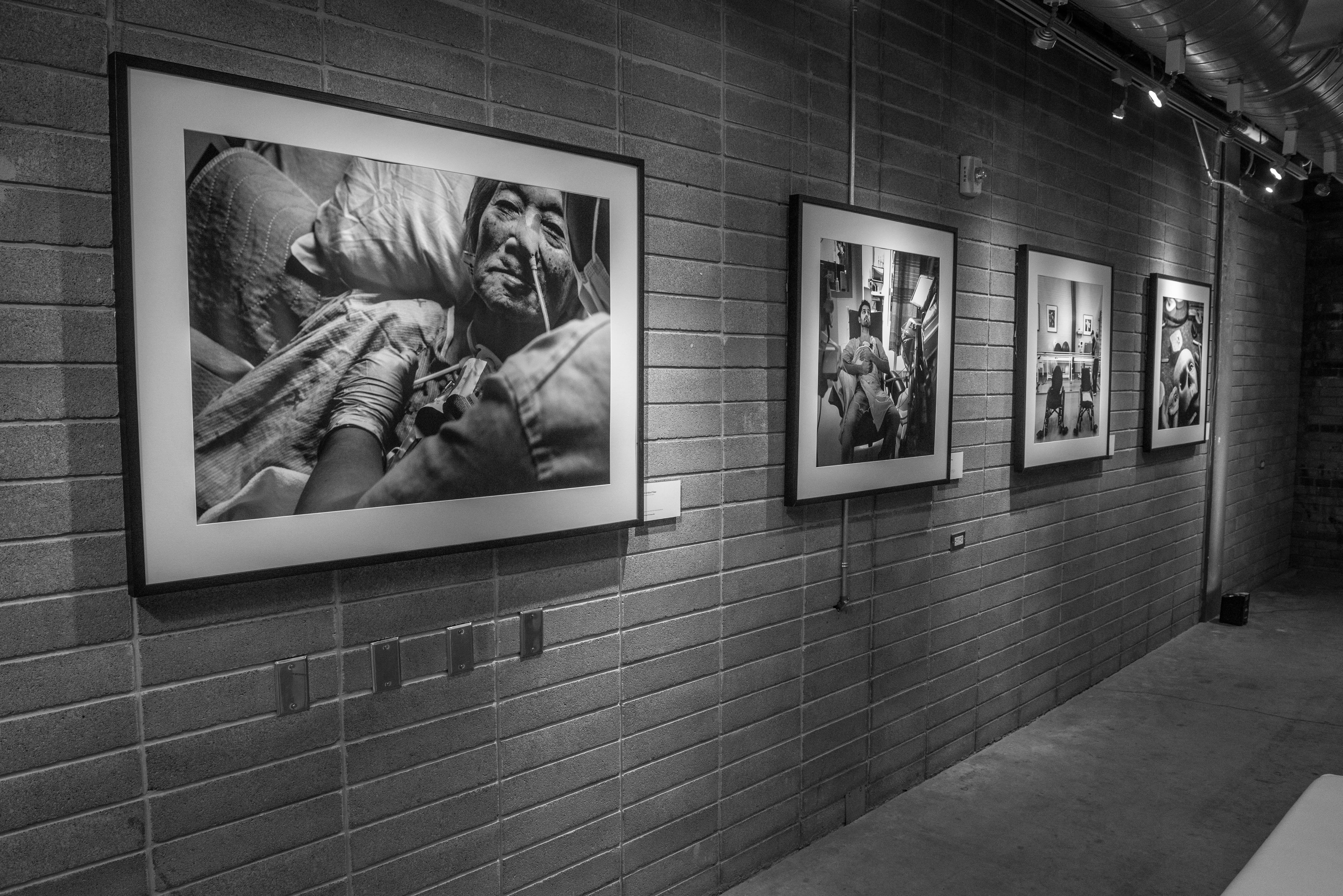 Images from this campaign framed and hung on a brick wall.