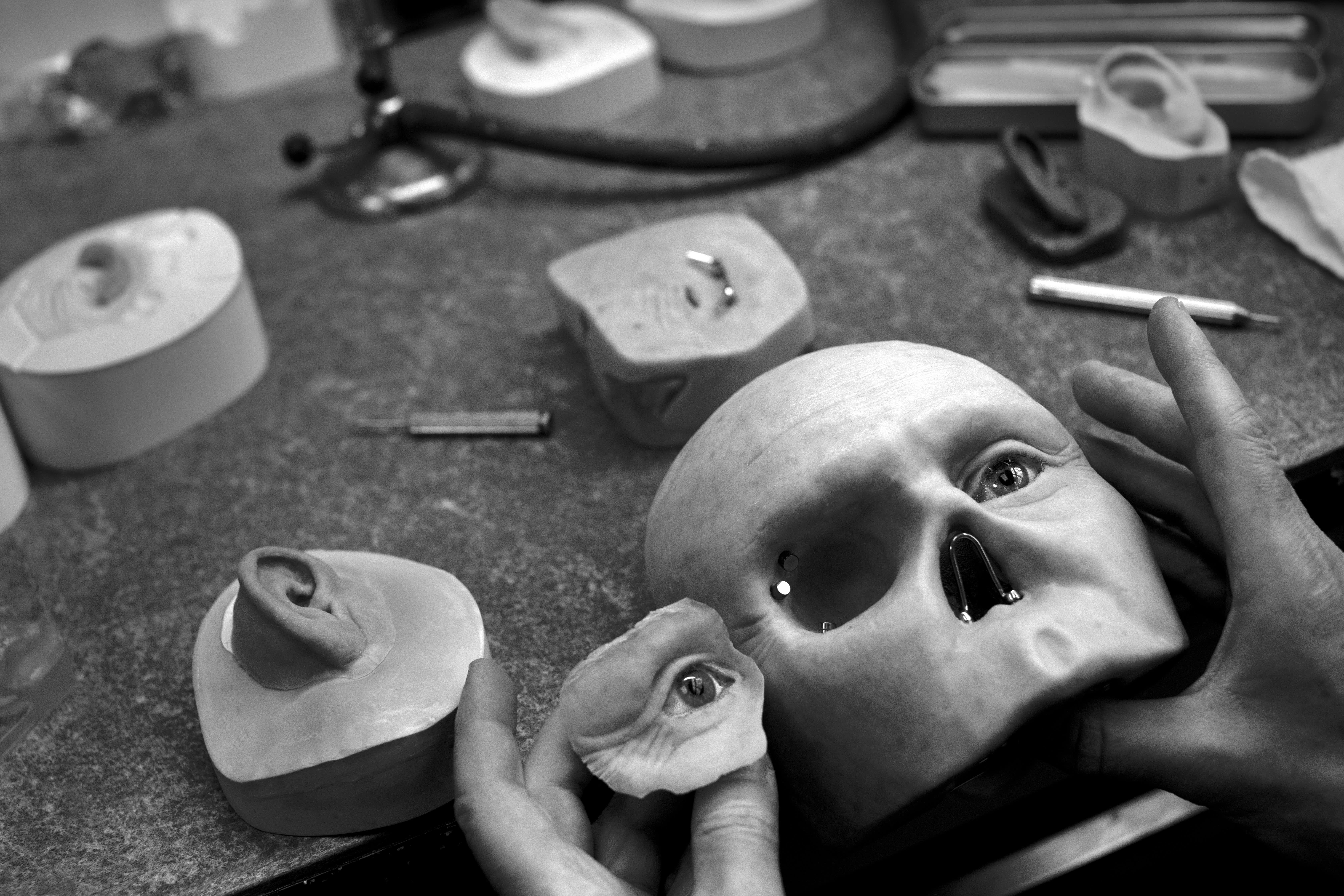 A mould of a human face in different parts.